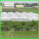 Anti Insect Net for Greenhouse Agriculture thumbnail-2