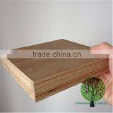 Keruing Veneer Plywood Factory in Linyi Guangdong Shipping Container Plywood thumbnail-5