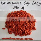 Dried Goji Berry 240grains/50g