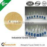China Supply Best Price for Industrial Gelatin thumbnail-1