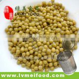 Canned Green Peas from LVMei Food