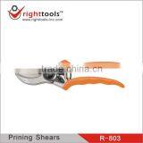 Satinless Steel Pruning Shears