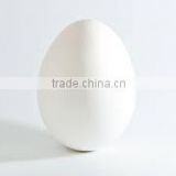 Indian Healthy Pure White Shell Eggs