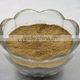 Pure Natural Shitake Mushroom Powder / Shitake Mushroom Extract / Polysaccharides thumbnail-3