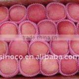 China Fuji Apple Fruit Supplier