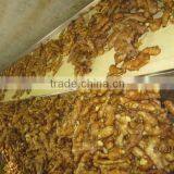 2015 ChinaGinger ,freshGinger thumbnail-3