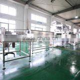 China Supplier Best Price Chilli Sauce Glass Bottle Making Filling Line