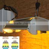 1000W 3 Angle Adjustable Double Ended De Indoor Adjustable HPS Grow Kits