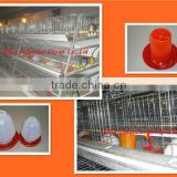 TAIYU-6 chicken laying egg cages system (Export standard,Attend in Fairs,Undertake The Project,Have agencies in some countries)