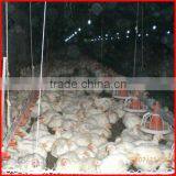 Automatic Broiler Pan Feeding System for Chickens