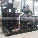 Diesel Generating Set thumbnail-1