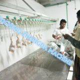 Good Quality and Price Chicken Slaughter Machine Line thumbnail-3