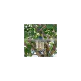 Acrylic Window Bird Feeder,plexiglass Bird Feeder,clear Bird Feeder thumbnail-3