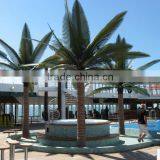 Fake Tree Indoor/outdoor Use Factory Wholesale Decoration Artificial Palm Tree thumbnail-2