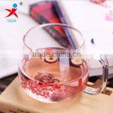 Heat Resistant Glass Cup/ Clear Glass Cup for Tea, Milk, Coffee thumbnail-1