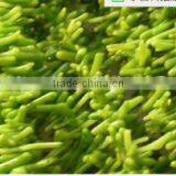 3-9mm Branch Shape Natural Loose Green Coral Bead thumbnail-1
