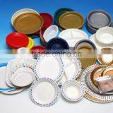 Custom Plastic Disposable Plates,disposable Plastic Plate Cover,custom Disposable Plastic Plates Wholesale thumbnail-1