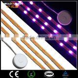 Flashing Single Battery Batteries Rohs Plus Led Strip Light thumbnail-3