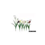 artificial flower (Small Sharp-Mouth tulip)