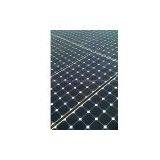 Solar Panels/ Solar Modules Supplier