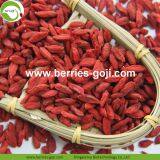 Factory Supply Nutrition Dried Lycium Berries