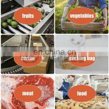 304 Orange Avocado Material Conveyor Belt Machine Fruits Conveyor Machinery thumbnail-4