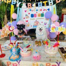 HMBUR Bag Pet Toys thumbnail-4