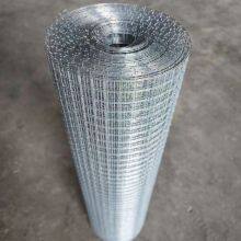 PVC Coated Welded Wire Mesh Roll for Poultry and Rabbit Cage Enclosures thumbnail-3