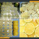 Leader Kiwi Slicing Machine With CE&ISO thumbnail-5