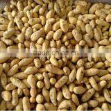 Turmeric thumbnail-1