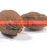 Nutmeg Essential Oil Pure & Natural