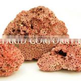 Sea Corals Natural Red Rough