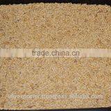 Best BARLEY From Direct UKRAINE PRODUCER thumbnail-3