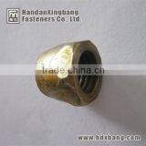 High Quality Zinc Plated Cone Nut for Anchor Bolt thumbnail-1