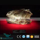 OAV3112 1:1 Scale Artificial Resin Dinosaur Skull thumbnail-4