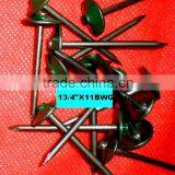 Fast Sell Thailand Market Roofing Nails