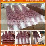 Export Maldives Film Faced Plywood thumbnail-4