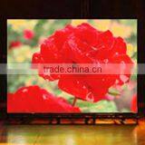 p5 Indoor Led Screens for Advertising thumbnail-1