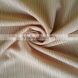 Bright polyester elastane knit stripe fabric