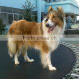 Trampoline (180-427cm)