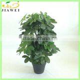 Wholesale Plastic Green Leaves Bonsai