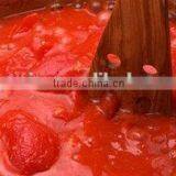 Hot Sell Tomato Sauce ,Ketchup (Y6) thumbnail-4