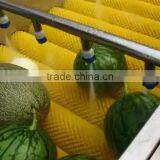 Hp-360 Vegetable And Fruit Brush Washing Washer And Drying Dryer Machine thumbnail-3