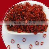 Dried Hot Red Pepper Ring thumbnail-1