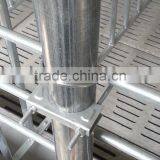 Gestation Crate |single Stall for Cow thumbnail-3