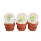 Cute Resin Cactus Custom Mini Snow Globe thumbnail-1