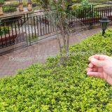 High Transparent 1.5mm PET Sheet Plastic Sheet thumbnail-2