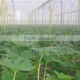 High Quality Pop-up Sprinkler for Irrigation System thumbnail-1