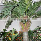 Palm Trees Canada is Popular Around the World Artificial Plastic Coconut Palm Tree thumbnail-4