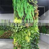 Stickers Home Garden Deco 300cm Tall Indoor or Outdoor Artificial Plain Green Climbing Column Plant Wall Ezwq10 1018 thumbnail-1